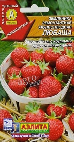 Земляника "Любаша" ТМ "АЭЛИТА" 10шт