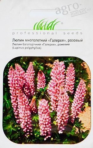 Люпин розовый "Галерея" ТМ "Hem Zaden" 0.2г