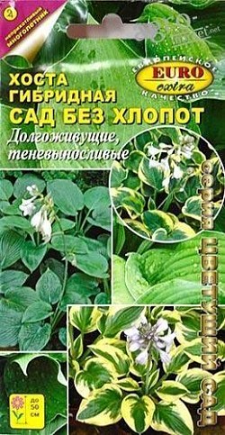 Хоста гибридная "Сад без хлопот" ТМ "Аэлита" 0.024г