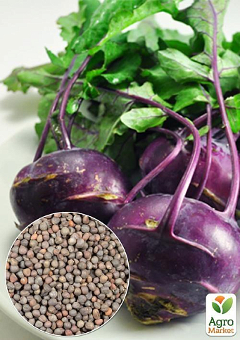 На развес Капуста "Кольраби синяя" ТМ "Весна" цена за 2г