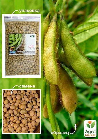 Соя ТМ "Весна" 100г