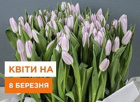 Квіти на 8 березня: як вибрати красиві квіти на восьме березня | Agro-Market