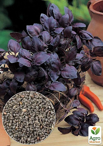 На развес Базилик фиолетовый "Пурпурный" ТМ "Весна" цена за 3г