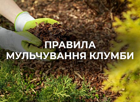 Як правильно мульчувати ділянки та клумби | Agro-market
