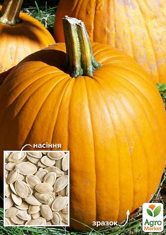 На развес Тыква "Улыбка" ТМ "Весна" цена за 10г