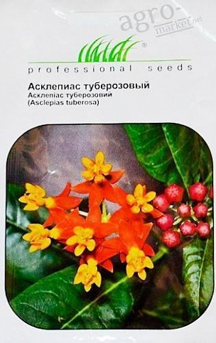 Асклепиас "Туберозовый" ТМ "Hem Zaden" 0.1г