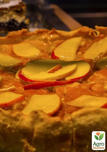 Яблоня "Рихард" (зимний сорт, поздний срок созревания) - фото 2