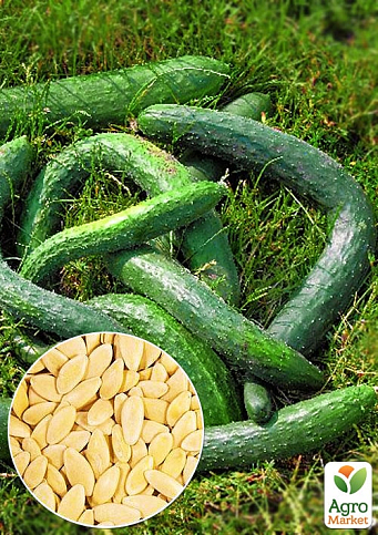 На развес Огурец "Китайские змеи" ТМ "Весна" цена за 2г