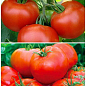 На развес Томат "Загадка" ТМ "Весна" цена за 1г