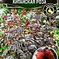 Гібіскус краснолістний "Китайська троянда" ТМ "Аеліта" 5шт