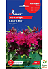 Монарда "Бергамот" пурпурная ТМ "GL Seeds" 0.1г