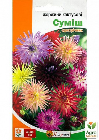 Жоржина "кактусовидні суміш" ТМ "Яскрава" 0.3г
