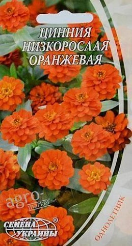 Цинія низькоросла помаранчева ТМ "Насіння України" 0.5г