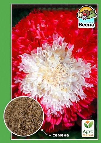 Астра "Зимняя вишня" ТМ "Весна" 0.2г