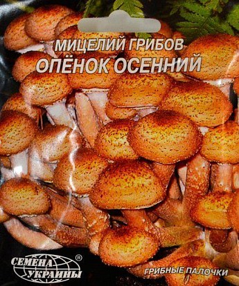 Опёнок "Осенний" ТМ "Семена Украины" 10шт