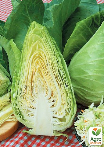 Капуста конічна «Агро F1» ТМ «Lark Seeds» 2500шт
