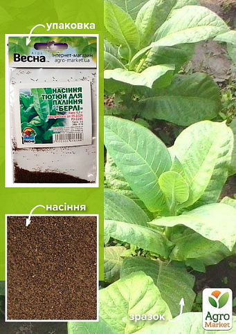 Насіння Тютюн для паління "Берлі" (Зипер) ТМ "Весна" 0.5г