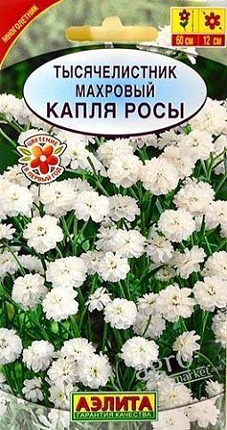 Тысячелистник махровый "Капля росы" ТМ "АЭЛИТА" 0.1г