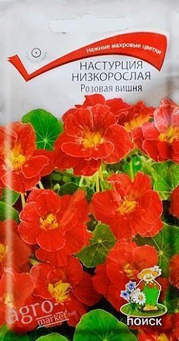 Настурция "Розовая вишня" ТМ "Поиск" 1г
