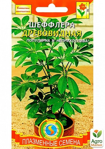 Шеффлера "Древовидная" ТМ "Плазменные семена" 5шт NEW
