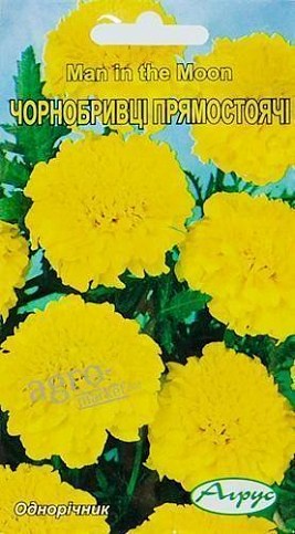 Чорнобривці "Прямостоячі" ТМ "Агрус" 1г