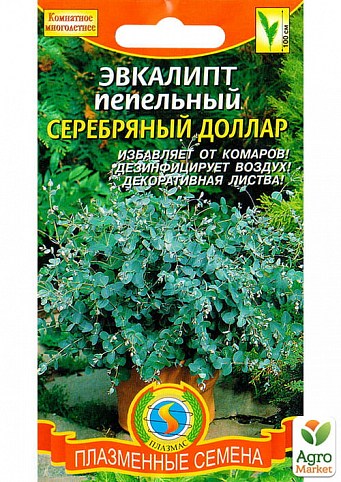Евкаліпт попелястий "Срібний долар" ТМ "Плазмові насіння" 4шт NEW