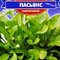 Руккола "Пасьянс" скороспелая ТМ "GL SEEDS" 0.5г