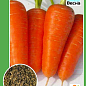 Морковь "Аленка" ТМ "Весна" 2г