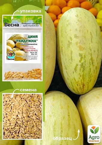 Дыня "Радужная" (Зипер) ТМ "Весна" 3г
