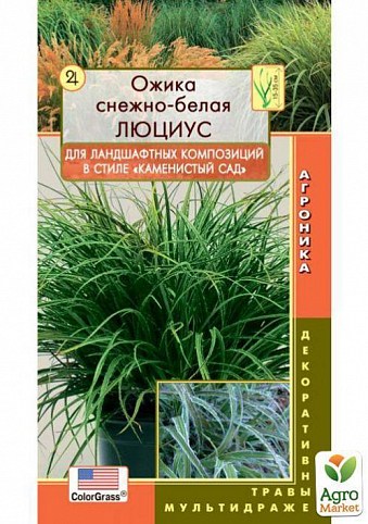 Ожіка сніжно-біла "Луціусе" ТМ "Плазмові насіння" 3шт