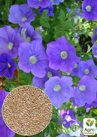 На развес Петуния "Крупноцветковая синяя" ТМ "Весна" цена за 1,5г