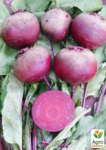 Буряк столовий "Детройт Дарк Ред" ТМ "Lark Seeds" 400г