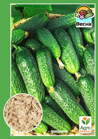 Огірок "Засухостійкий" ТМ "Весна" 0.5г