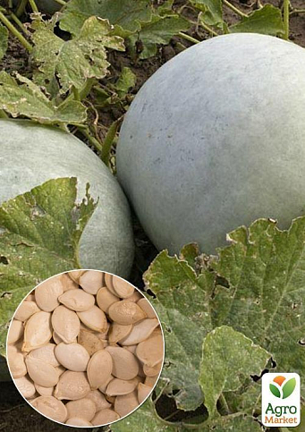 На развес Тыква "Волжская серая" ТМ "Весна" цена за 10г