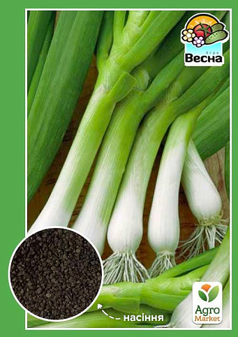 Цибуля батун "Зелене пір'ячко" (Новий пакет) ТМ "Весна" 0.5г