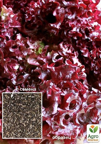 Салат "Еврідіка" ТМ "Весна" 100г