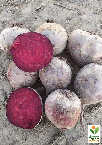Буряк столовий "Марун F1" ТМ "Lark Seeds" 5000шт