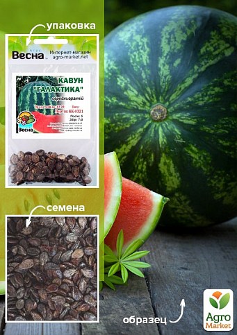 Арбуз "Галактика" (Зипер) ТМ "Весна" 4г