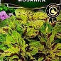 Колеус "Мозаика" ТМ "Аэлита" 10шт