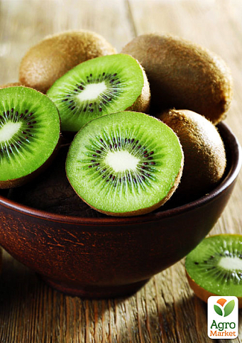 Ківі "Аббот" (високоврожайний сорт)