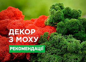 Стабілізований мох: ідеї для декору своїми руками - корисні статті про садівництво від Agro-Market