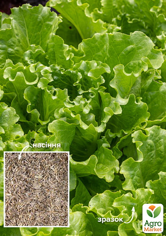 На развес Салат "Хрустящий витамин" ТМ "Весна" цена за 8г