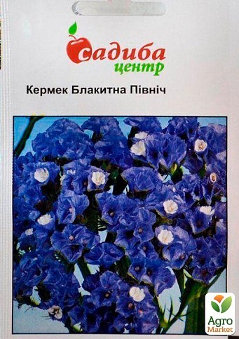Кермек "Голубой Север" ТМ "Садиба центр" 0.1г