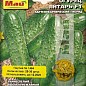 Огірок "Янтар F1" ТМ "Май" 25-30шт