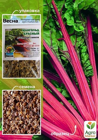 Мангольд червоний (Зипер) ТМ "Весна" 3г