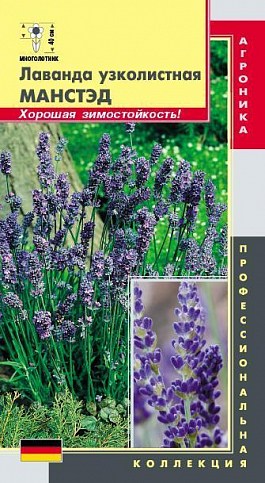 Лаванда вузьколиста "Манстед" ТМ "Плазмові насіння" 20шт