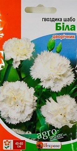 Гвоздика шабо "Белая" ТМ "Яскрава" 0.1г