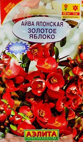 Айва японская "Золотое яблоко" ТМ "Аэлита" 10шт