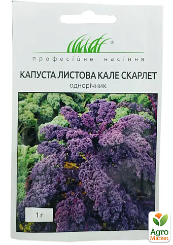 Капуста листова "Скарлет" ТМ "Професійне насіння" 1г