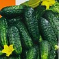 Огірок "Бочковий F1" ТМ "Яскрава" 0.5г.